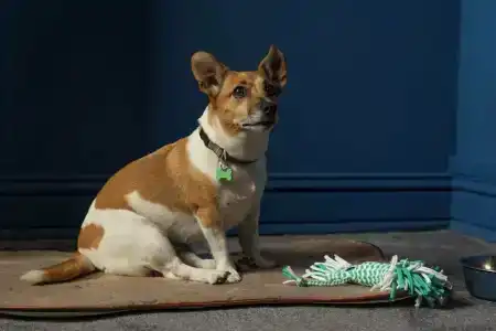 Maria Luisa by Introverts - 19