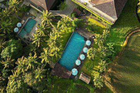 The Artini Dijiwa Ubud - 1