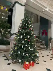 Rixos President - 47