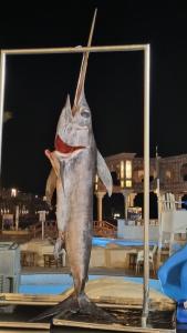 Sunrise Palma De Mirette - 29