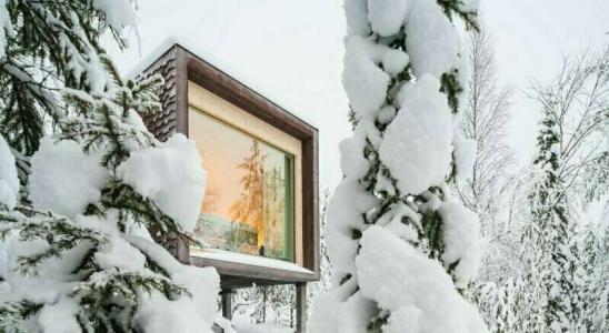 Arctic TreeHouse - 39