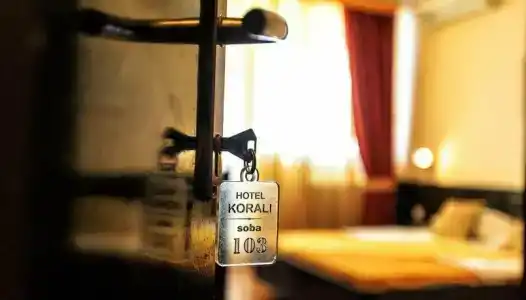 Korali - 4