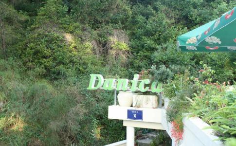 Danica - 38