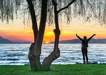 İznik Camlik Motel Restaurant - 13