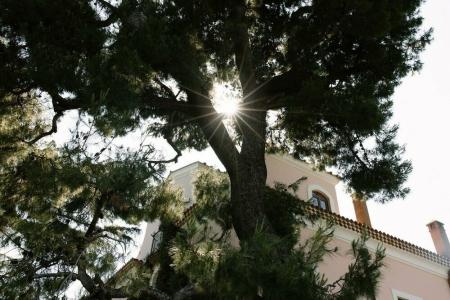 Capo Santa Fortunata - 14