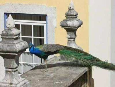 Solar Do Castelo, a Lisbon Heritage Collection - 23
