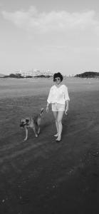 Andriake Beach Club - 43