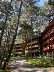 Martı Myra - 20