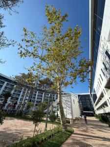 Zenith Resort & SPA - 59