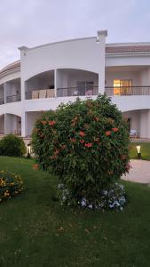 Sunrise Alma Bay Resort - 28