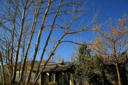 Pullman Lijiang Resort & Spa - 49