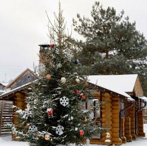 Eko-otel Mordasovo - 7