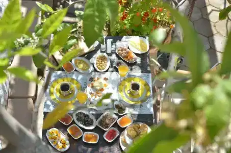 Lemon Villa - Adult Only - 42