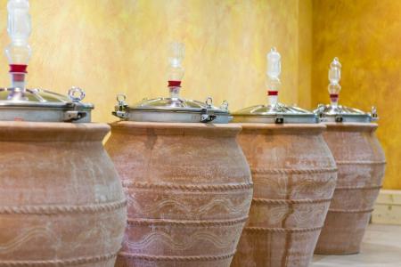 Resort & Winery Bosco De Medici - 14