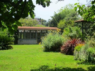 La Gallina Felice B&B - 0
