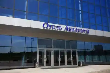 Aquarium by ZONT Group - 0