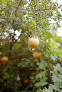 Club Datca Holiday Village - 21