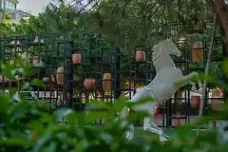 Selectum Family Comfort Side - 32