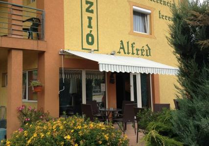 Alfred Panzio - 7