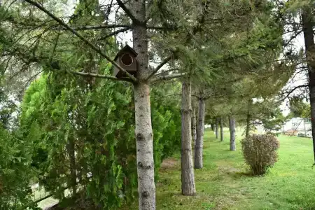 Ikbal Thermal & SPA - 32