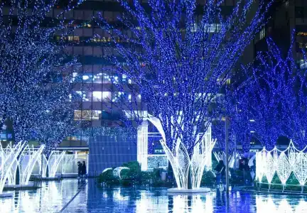 The Lively Fukuoka Hakata - 2