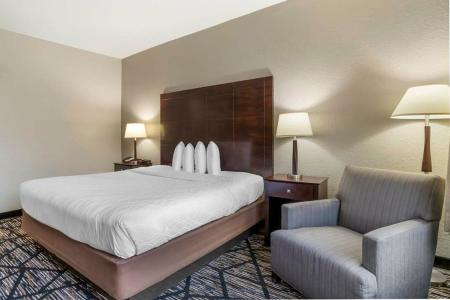 Best Western Plus Hobby Airport Inn Suites - 18