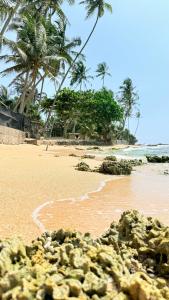 Cool Beach - 21