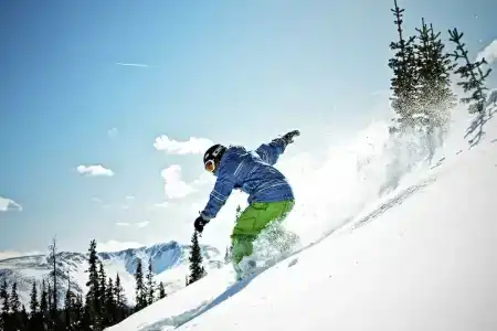 Premier -Cabin- - 42