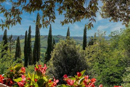 Laticastelli Country Relais - 25