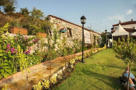 Swan Lake - Adult Only - 39