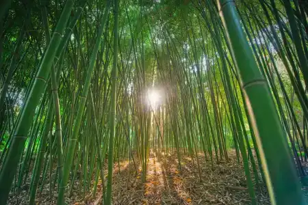 More Spa & Resort - 8