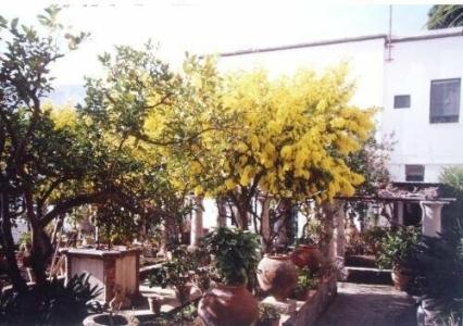 La Certosella - 4