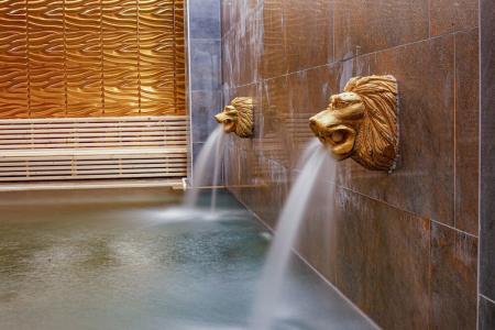 Vital Thermal & Spa - 34