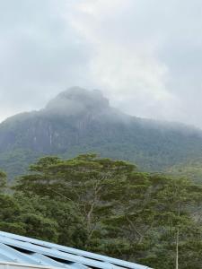 Bambous River Lodge - 6