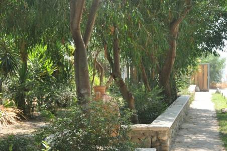 Villaggio Borgo degli Ulivi - 25