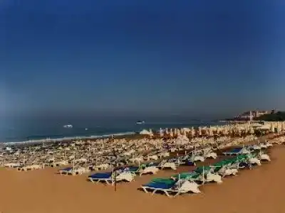 Sunlight Garden - 11