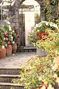 B&B Il Sogno - 10