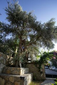 Club Datca Holiday Village - 12