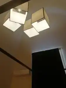 Gatto Bianco Duchessa - 28