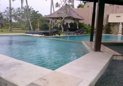 Alpin Resort and Villa Ubud - 30