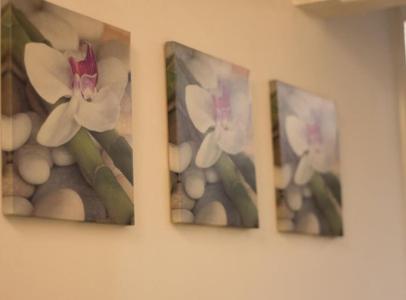 Le Orchidee - 3