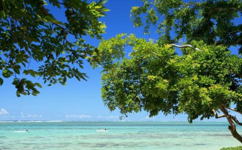 Tamassa Bel Ombre, Mauritius - 39