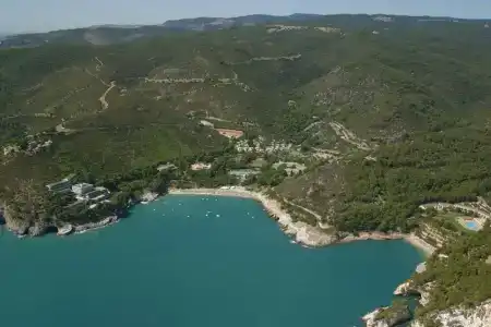 Pugnochiuso Resort - Degli Ulivi - 11