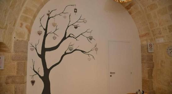 Cittadella28 Like at Home - 18