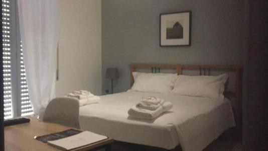 Gatto Bianco Picone 19 - 25