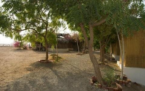 Umbi Sharks Bay Diving Village - 31