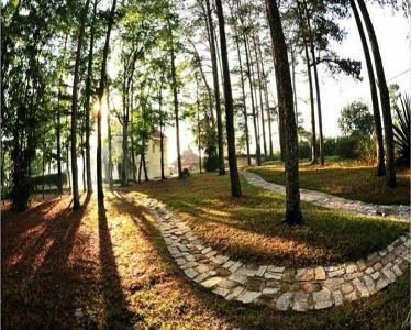 Dalat Cadasa Resort - 15