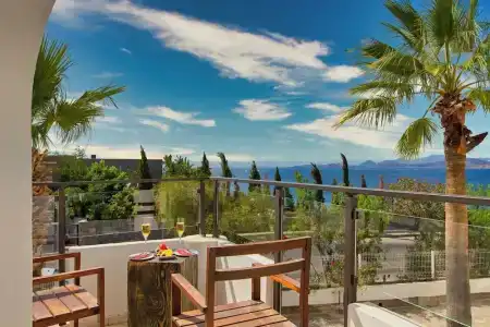 Senses - Adults Only - 14