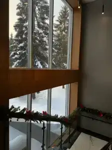 Lesnaya Lastochka - 47