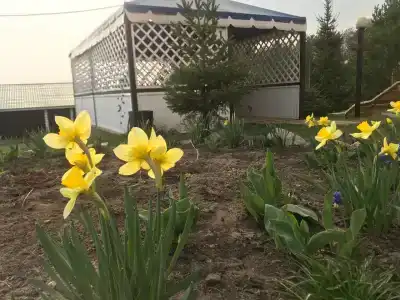 Лежневская Лагуна - 69